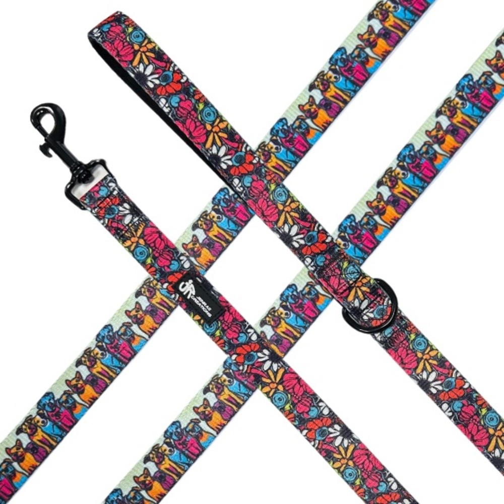 Leash & Collar set - Pawsitivity Collection